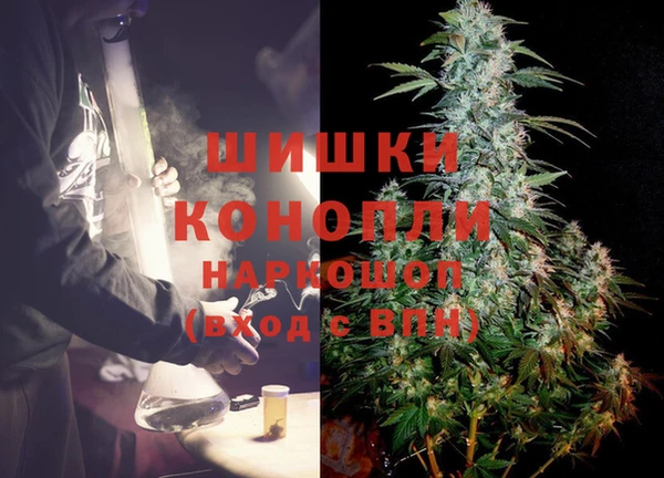 гидра Наволоки