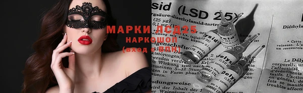 шишки Навашино